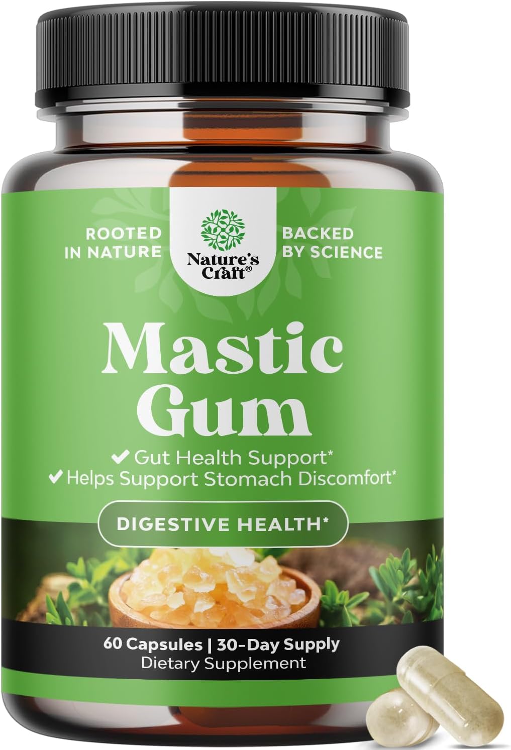 Nature's Craft Mastic Gum, 60 Capsules